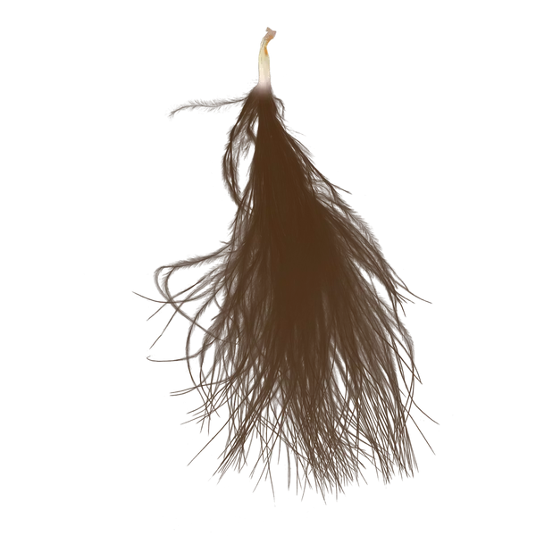 Plumes Chocolats 7cm x20 - SkyLantern.fr