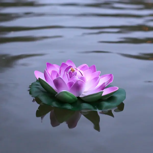 Deco Plan D'Eau Lotus Natural Parme - SkyLantern.fr