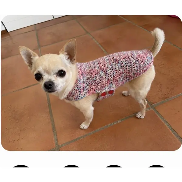 Manteau pour chien crocheté main rose, bleu ciel et argent – taille s – petit yorkshire, chihuahua, spitz nain, ...