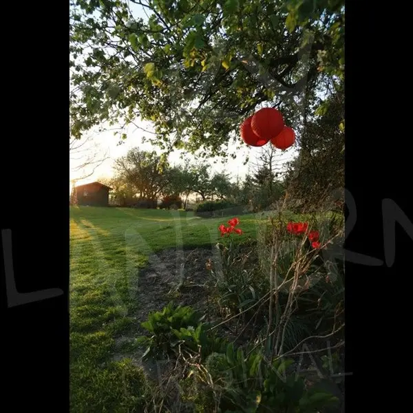 Lampion Lampe Led Rouge - SkyLantern.fr