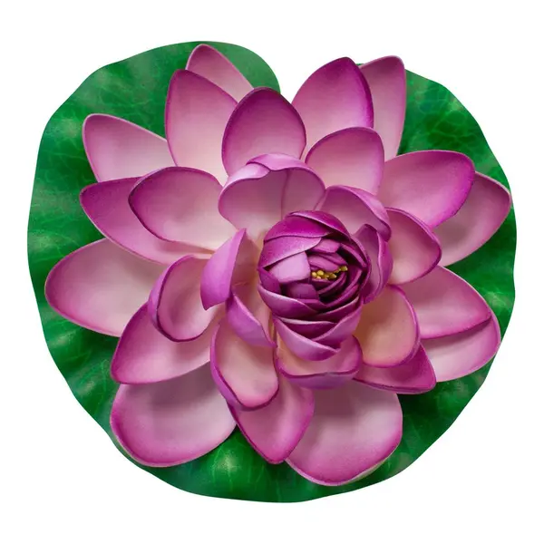 Deco Plan D'Eau Lotus Natural Parme - SkyLantern.fr
