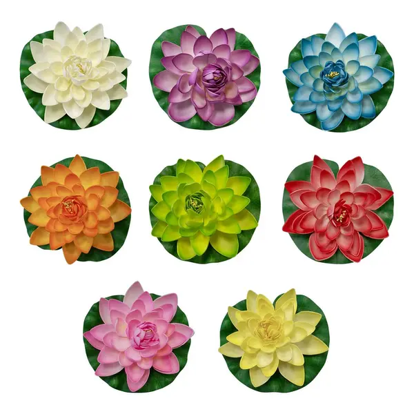 Deco Plan D'Eau Lotus Natural Parme - SkyLantern.fr