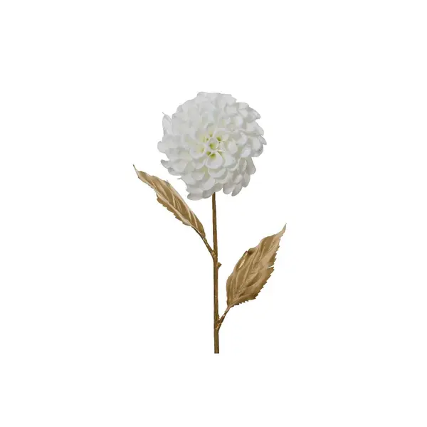 Dahlia enneigée