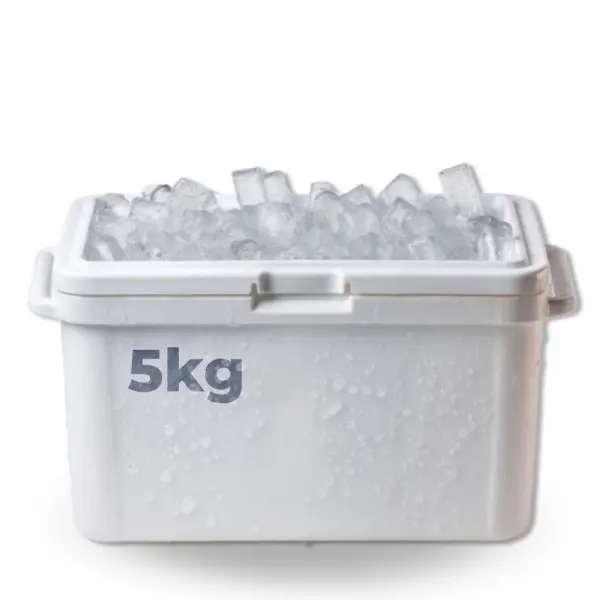 TUTO CARBOGLACE : Comment utiliser la glace carbonique ? | France-Effect.com