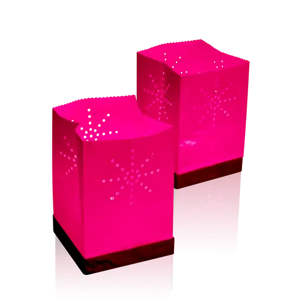 Lot de 2 Lanternes flottantes Fuchsia - 15cm - Skylantern.fr