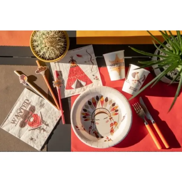 Assiettes Indiens et Cowboy x10