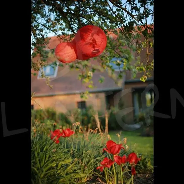 Lampion Lampe Led Rouge - SkyLantern.fr