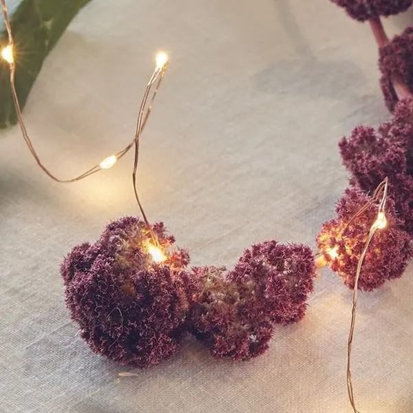 Guirlande Micro LED Cuivre LEDs Blanc Chaud 10 mètres Pas Cher