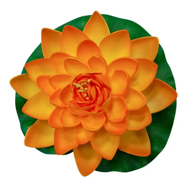 Jolie Fleur Flottante Lotus Natural Orange - SkyLantern.fr