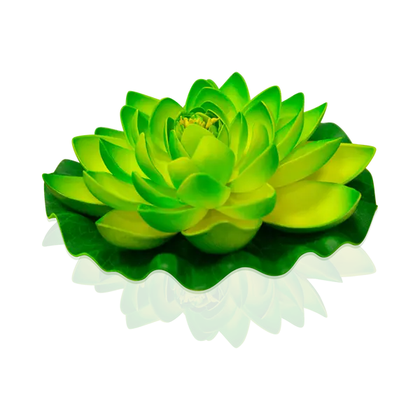 Lanternes D'Eau Mariage Et Fête Lotus Natural Verte - SkyLantern