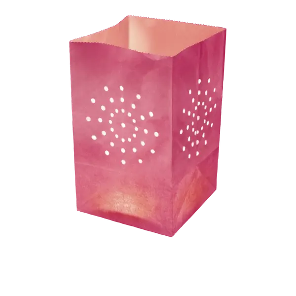 Lanterne Japonaise Jardin Rose en quantité de 10 - Skylantern.Fr
