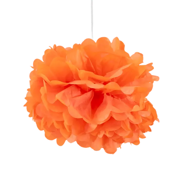 Pompons Corail 30cm x2 Nouvelle Collection - Skylantern.fr