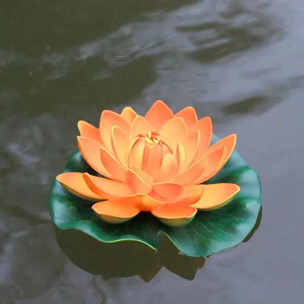 Jolie Fleur Flottante Lotus Natural Orange - SkyLantern.fr