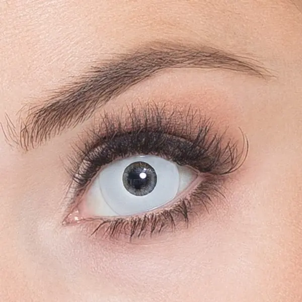 Lentilles Zombie - 1 semaine