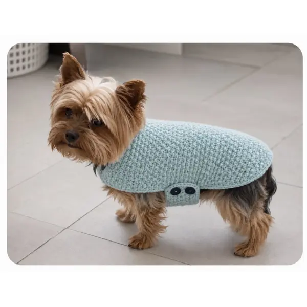 Manteau pour chien tricoté main bleu ciel – taille m – yorkshire, caniche nain, spitz