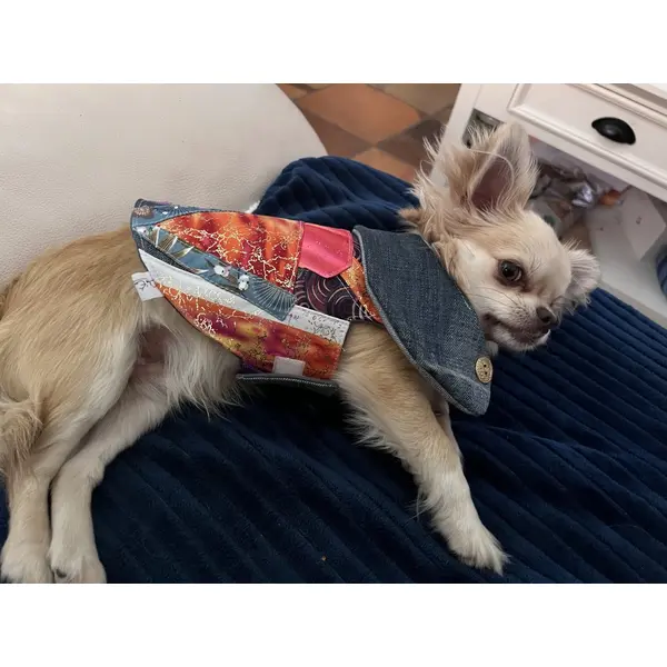 Petit manteau pour chien taille s (chihuahua, petit yorkshire ou chien ayant ce type de gabarit)